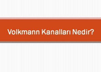 Volkmann Kanalları Nedir?