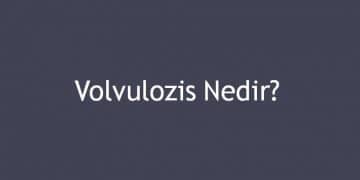 Volvulozis Nedir?