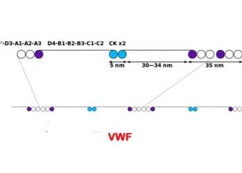 Von Willebrand Faktörü Nedir?