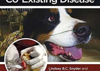 Köpek ve Kedi Anestezisi ve Eşlik Eden Hastalık