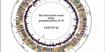 Paratüberküloz Organizma, Hastalık, Kontrol