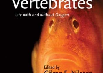 Omurgalıların Solunum Fizyolojisi, Oksijenli ve Oksijensiz Yaşam