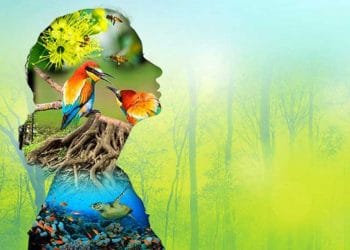 Biyoçeşitlilik (Biyolojik Çeşitlilik)