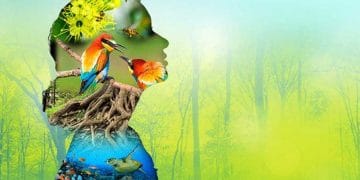 Biyoçeşitlilik (Biyolojik Çeşitlilik)