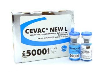 Cevac New L