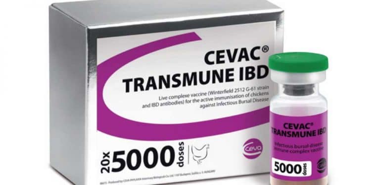 Cevac Transmune IBD