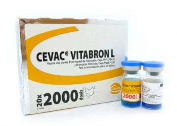 Cevac Vitabron L