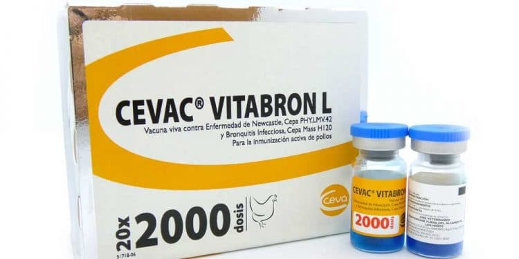 Cevac Vitabron L