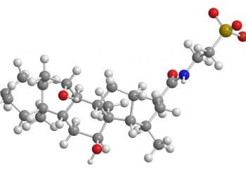 Hayvanlarda Sodyum Bozuklukları