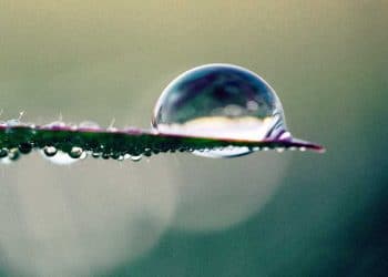 Suyun Yapısı ve Özellikleri