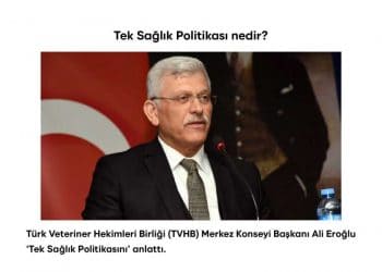 Tek Sağlık Politikası Nedir?