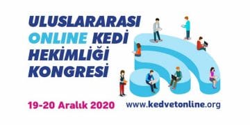 Uluslararası Online Kedi Hekimliği Kongresi 19-20 Aralık 2020