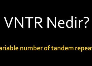 VNTR Nedir?