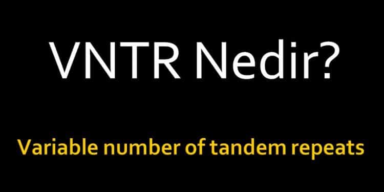 VNTR Nedir?