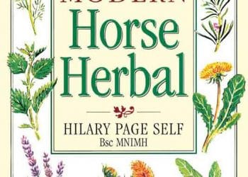 Atlar için Şifalı Bitkiler Kitabı