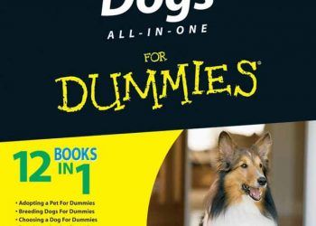 Yeni Başlayanlar İçin Köpeklerle İlgili Herşey