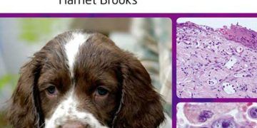 Veteriner Hemşireleri için Genel Patoloji
