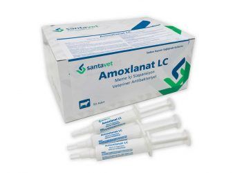 Amoxlanat LC
