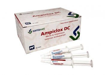 Ampiclox DC