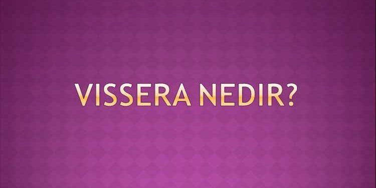 Vissera Nedir?