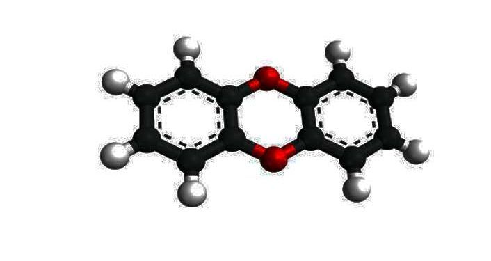 Vitamer Nedir?