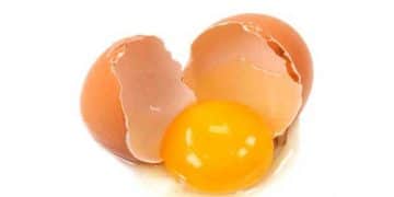 Vitellinus Nedir?