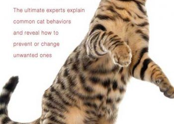 Kedinizi Çözün, ebook