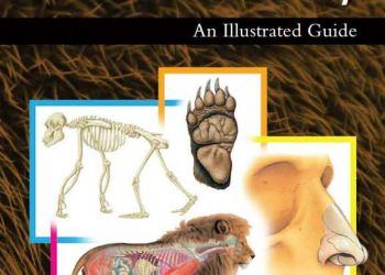 Memelilerde Resimli Anatomi Kılavuzu, ebook