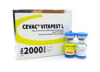 Cevac Vitapest L