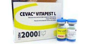 Cevac Vitapest L