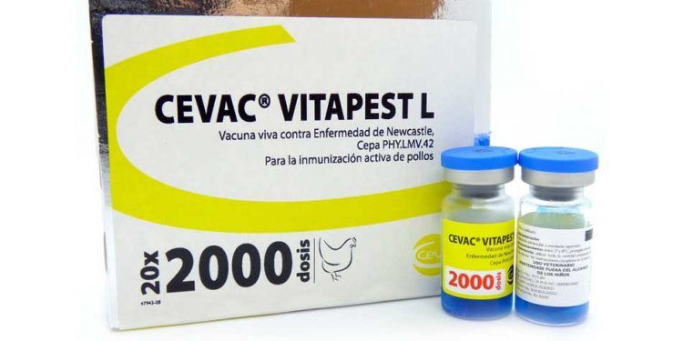 Cevac Vitapest L