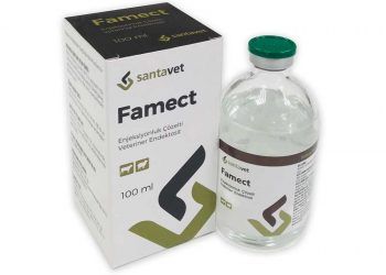 Famect