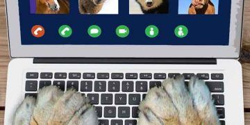 İneklere Bilgisayarlı Çöpçatan Hizmeti