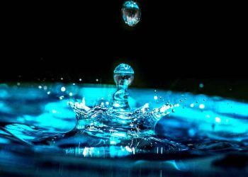 İneklerin Su İhtiyacı ve İçme Suyu Kalitesi