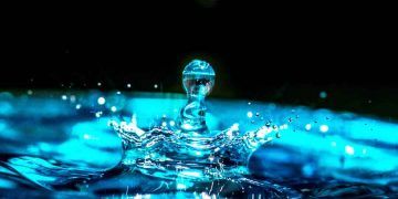 İneklerin Su İhtiyacı ve İçme Suyu Kalitesi