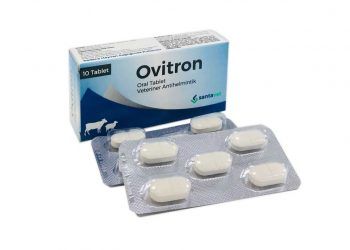 Ovitron