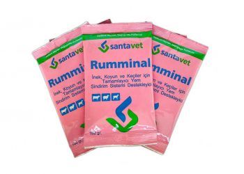 Rumminal