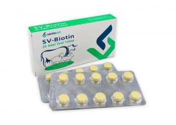 SV-Biotin