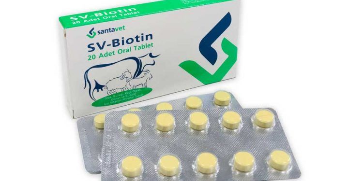 SV-Biotin