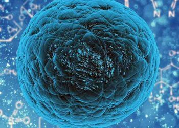 Virüs Adlandırılması Nedir?