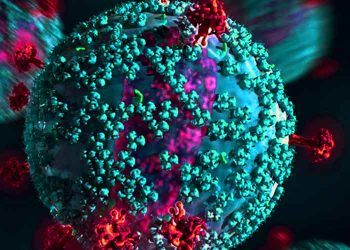 Virüs Antikor Free Nedir?