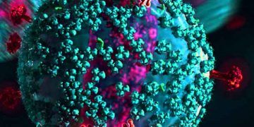 Virüs Antikor Free Nedir?