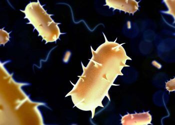 Virüs Bilimi Nedir?