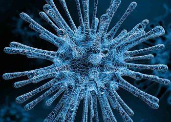 Virüs Fabrikası Nedir?