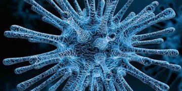 Virüs Fabrikası Nedir?