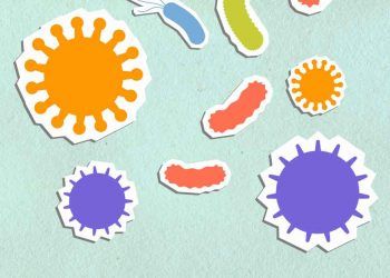 Virüs Genusu Nedir?