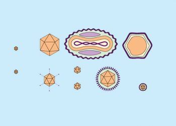 Virüs Taksonomisi Nedir?