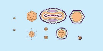 Virüs Taksonomisi Nedir?