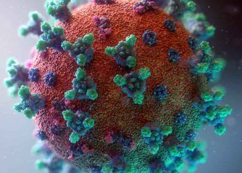 Virüs Türü Nedir?