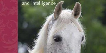 Atlar Nasıl Hisseder ve Düşünür? ebook